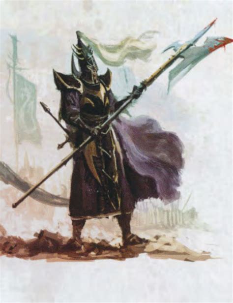 naggarond|black guard warhammer.
